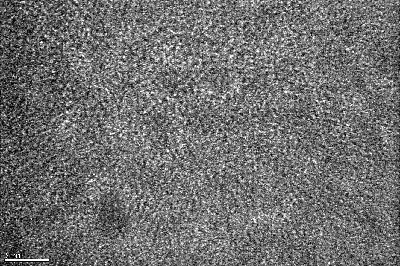 TEM image_[Fe(3)_SiO2(3)]10 after depesition.jpg