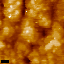 25_03_2011.BMP