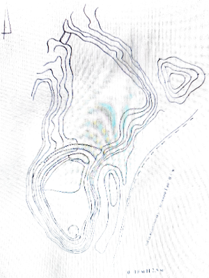 Figure 4.png