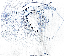 Figure 5.png
