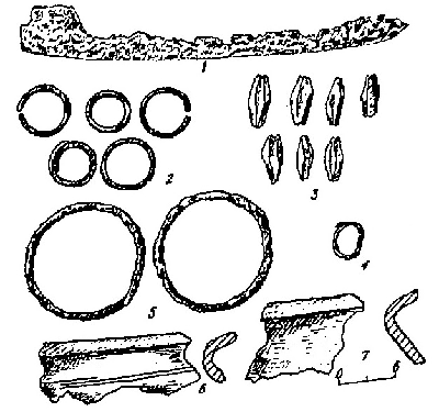 Figure 1.jpg